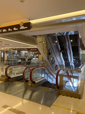 Glass Escalator Modernization 2 mm Stainless Steel CNAS Balustrade Replacement