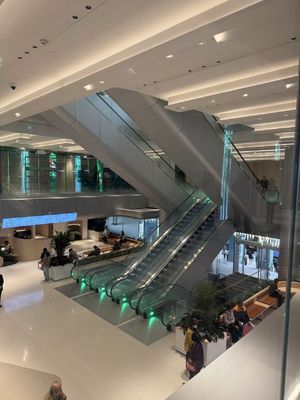 506 Escalator Modernization Package Remaining Truss Renovation Indoor Escalator